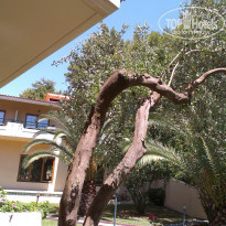 фото из отзыва ID 748060