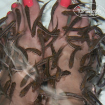 фото из отзыва ID 748114