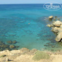 фото из отзыва ID 748359