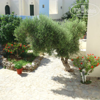 фото из отзыва ID 748738