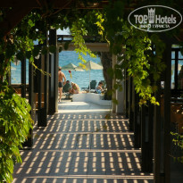 фото из отзыва ID 748769