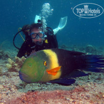 фото из отзыва ID 748972