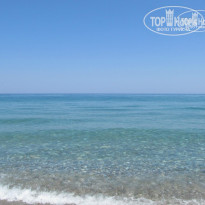 фото из отзыва ID 748962