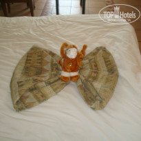 фото из отзыва ID 749082