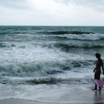 фото из отзыва ID 749112