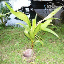 фото из отзыва ID 749112