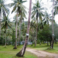 фото из отзыва ID 749112