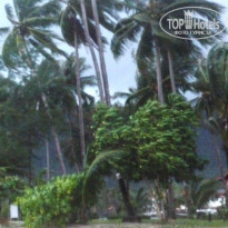 фото из отзыва ID 749112