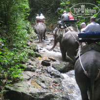 фото из отзыва ID 749213