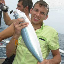 фото из отзыва ID 749213