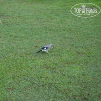 фото из отзыва ID 749238