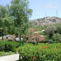 фото из отзыва ID 749238