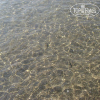 фото из отзыва ID 749238