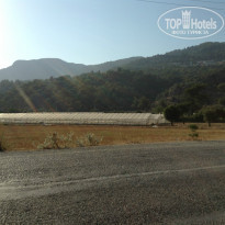 фото из отзыва ID 749238