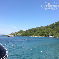 фото из отзыва ID 749238