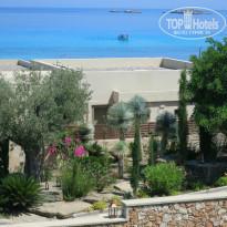 фото из отзыва ID 749410