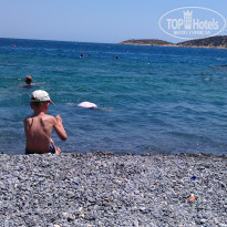 фото из отзыва ID 749437