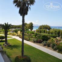 фото из отзыва ID 749463