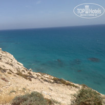 фото из отзыва ID 749584