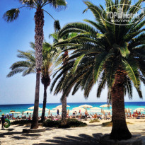 фото из отзыва ID 749584