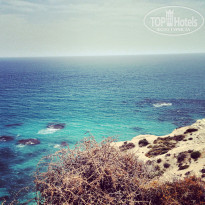 фото из отзыва ID 749584