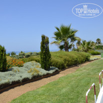 фото из отзыва ID 749040