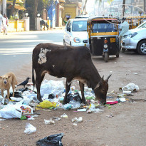 фото из отзыва ID 750162