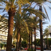 фото из отзыва ID 750248