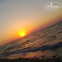 фото из отзыва ID 750248