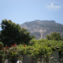 фото из отзыва ID 750262