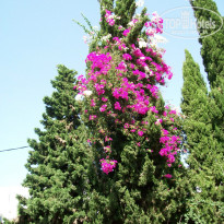 фото из отзыва ID 750467