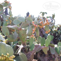 фото из отзыва ID 750467