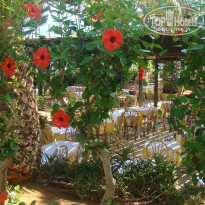 фото из отзыва ID 750502