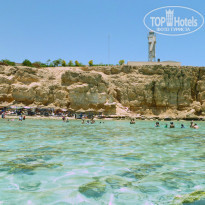 фото из отзыва ID 750737