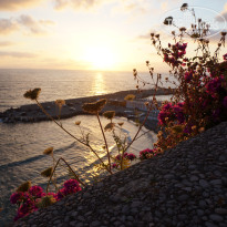 фото из отзыва ID 750696