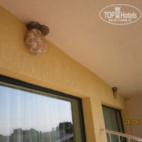 фото из отзыва ID 750347