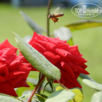 фото из отзыва ID 750383