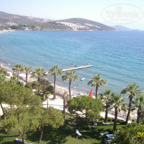 фото из отзыва ID 751091