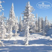 фото из отзыва ID 751111