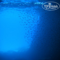 фото из отзыва ID 751148