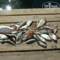 фото из отзыва ID 751189