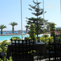 фото из отзыва ID 751190