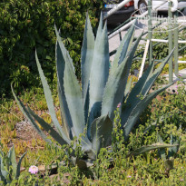 фото из отзыва ID 751470