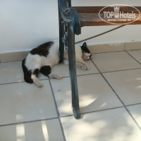 фото из отзыва ID 751578