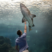 фото из отзыва ID 751614