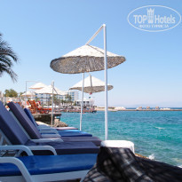 фото из отзыва ID 751652