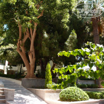 фото из отзыва ID 751652