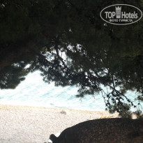 фото из отзыва ID 751147