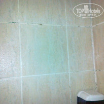 фото из отзыва ID 751413