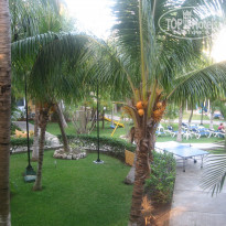 фото из отзыва ID 751562